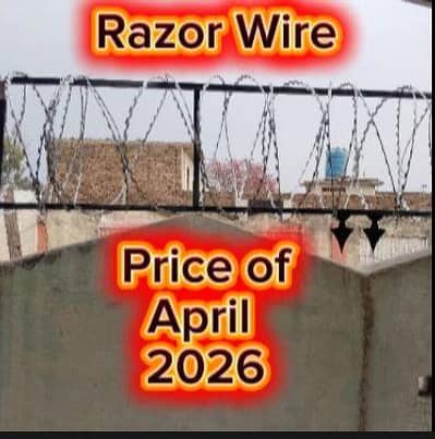 Home Security Concertina Barbed Razor Wire Chainlink Fence Spike