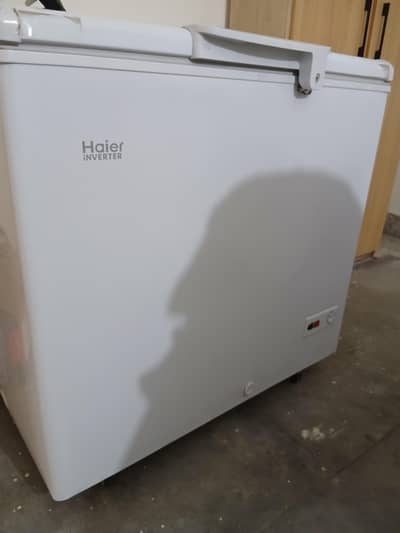 Haier Freezer (new)