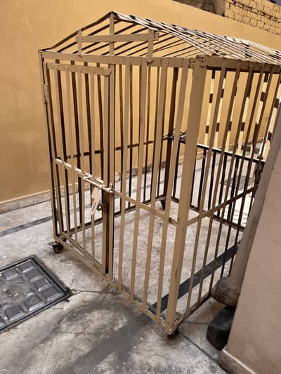 Dog Cage 4x4x4ft FOR SALE