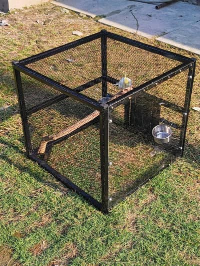 Affordable Bird cages - High quality and safe bird cage