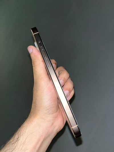 Apple Iphone 16 Pro Max Non pta