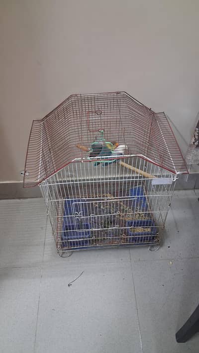 Used Cage 1 month use