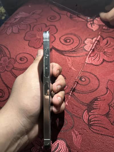 10by10 condition 97 health water pack white colour