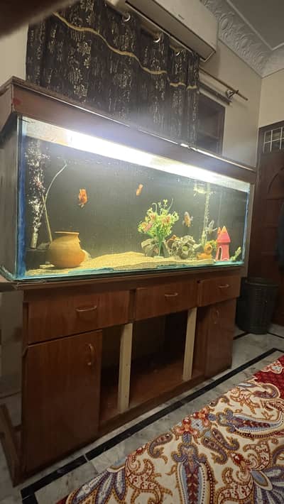 Fish aquarium