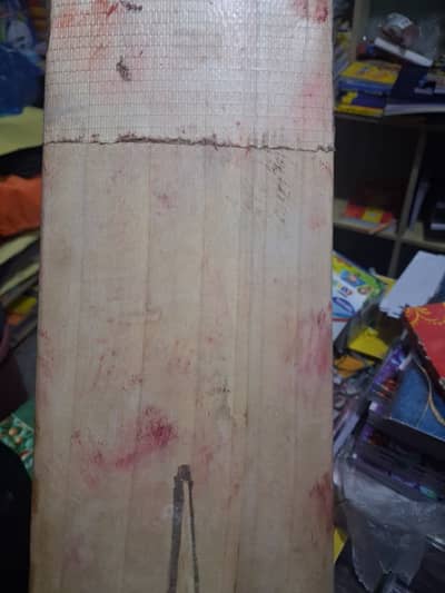 Hard ball English willow original HS BAT