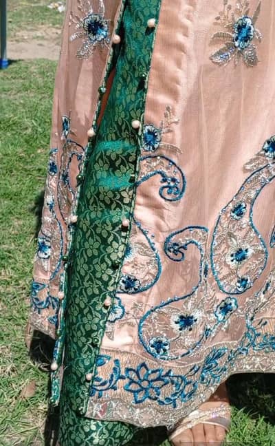 Net Embroidery dress