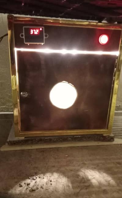 eggs hatching  machine