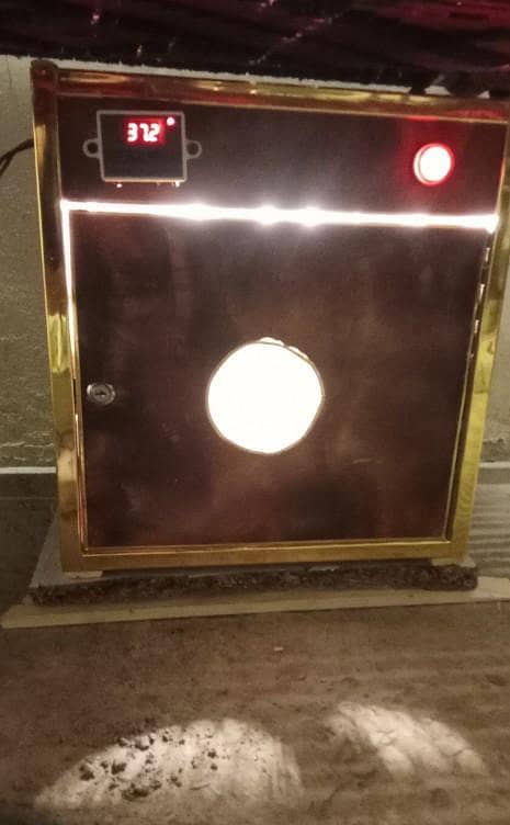 eggs hatching  machine 0