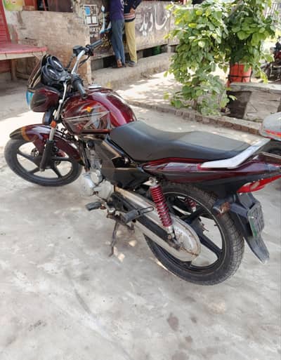 Honda | CBF 125 | Model 2019| Whatsapp : Chat with Seller
