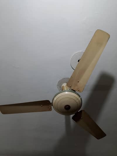 Fan in good condition