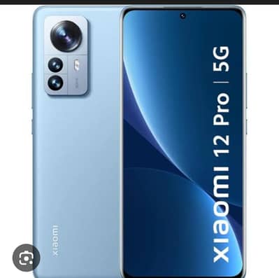 Xiaomi mi 12 pro pta approved c. p