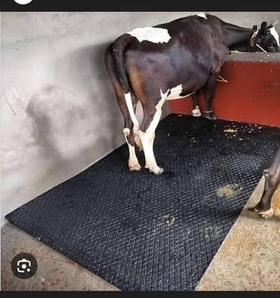 cows floor mats