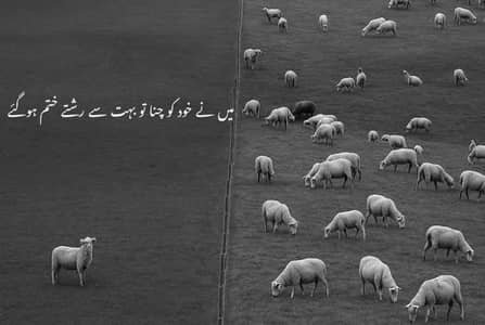 i need job part time or full time