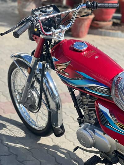 24 model lush condition