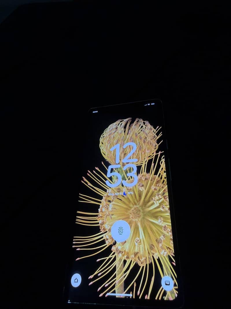 Google pixel 6 pro 1