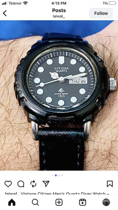 Citizen diver