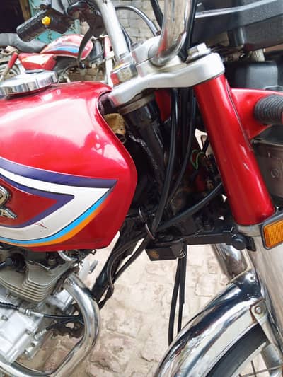 result book ha file gum ho gai