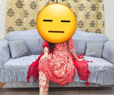 Net embroidered dress . . . formal ready to wear