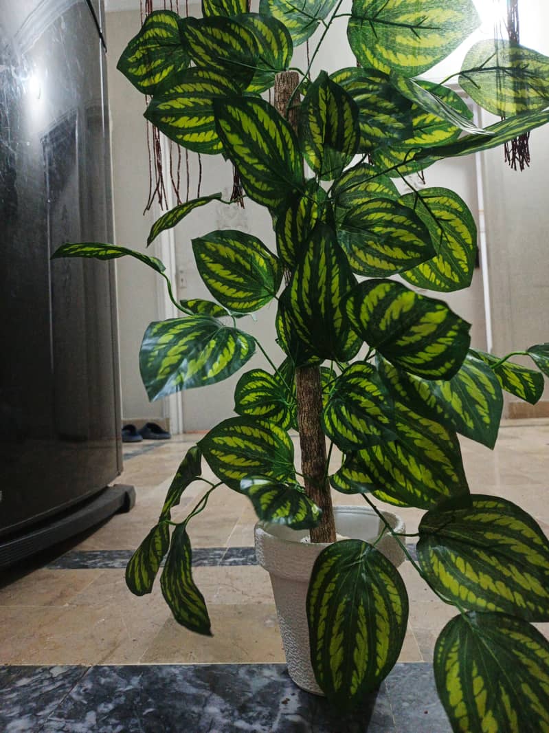 artificial plant 0