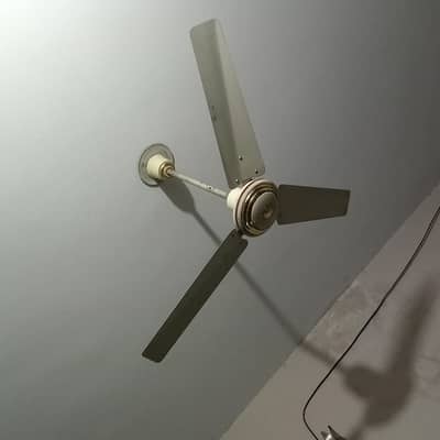Indus celling fan