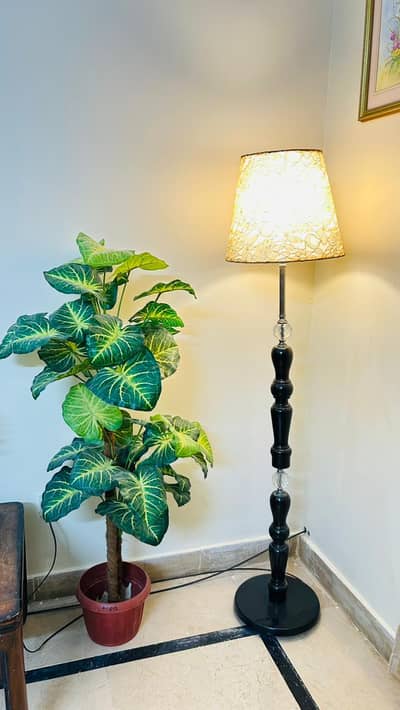 Home Decoration items