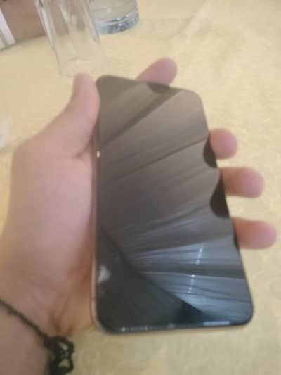 iPhone 11 Pro maxs non pta 256  panil Chang Face ID not working