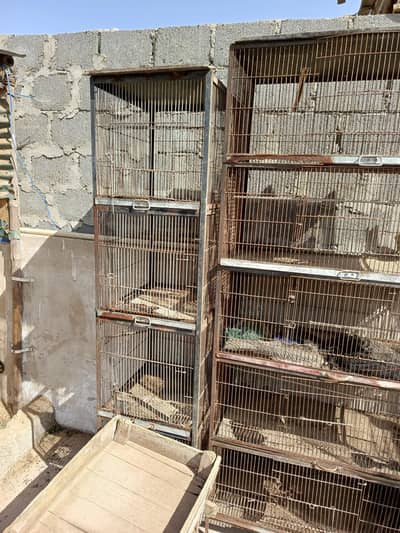 demand 100,000     total 6 cages