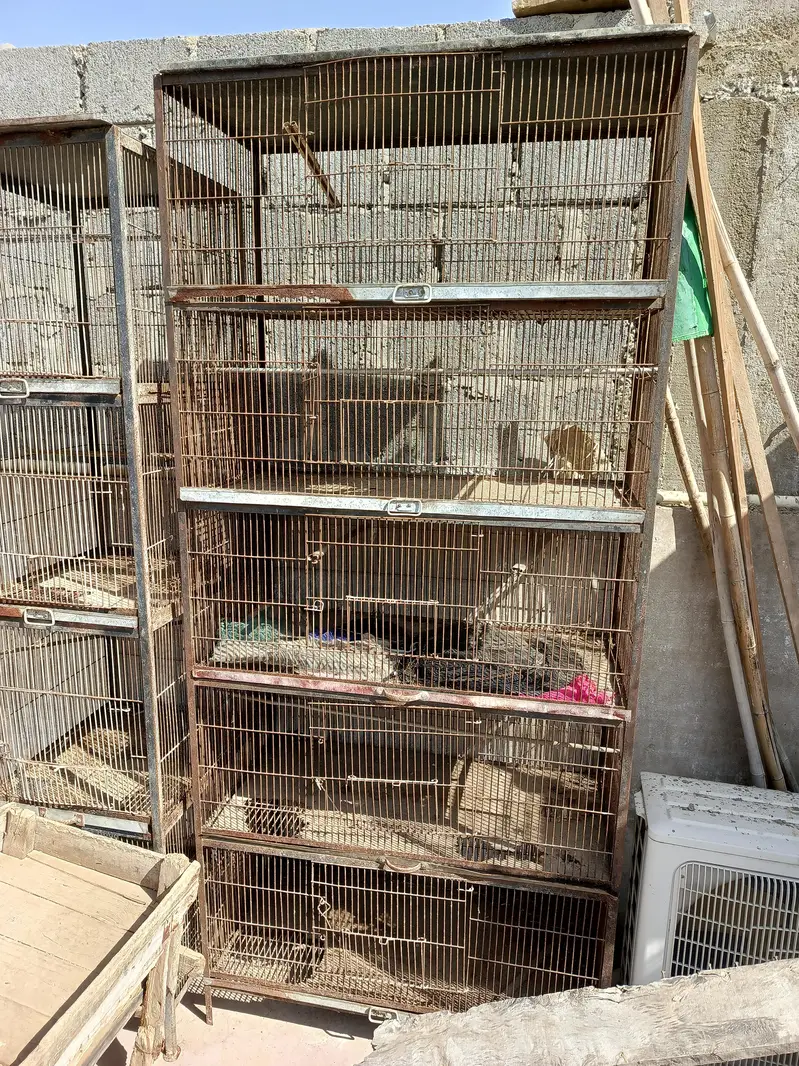 demand 75000     total 6 cages — photo 2