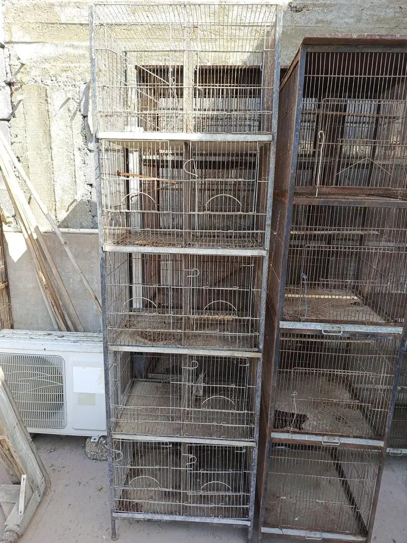 demand 75000     total 6 cages — photo 3