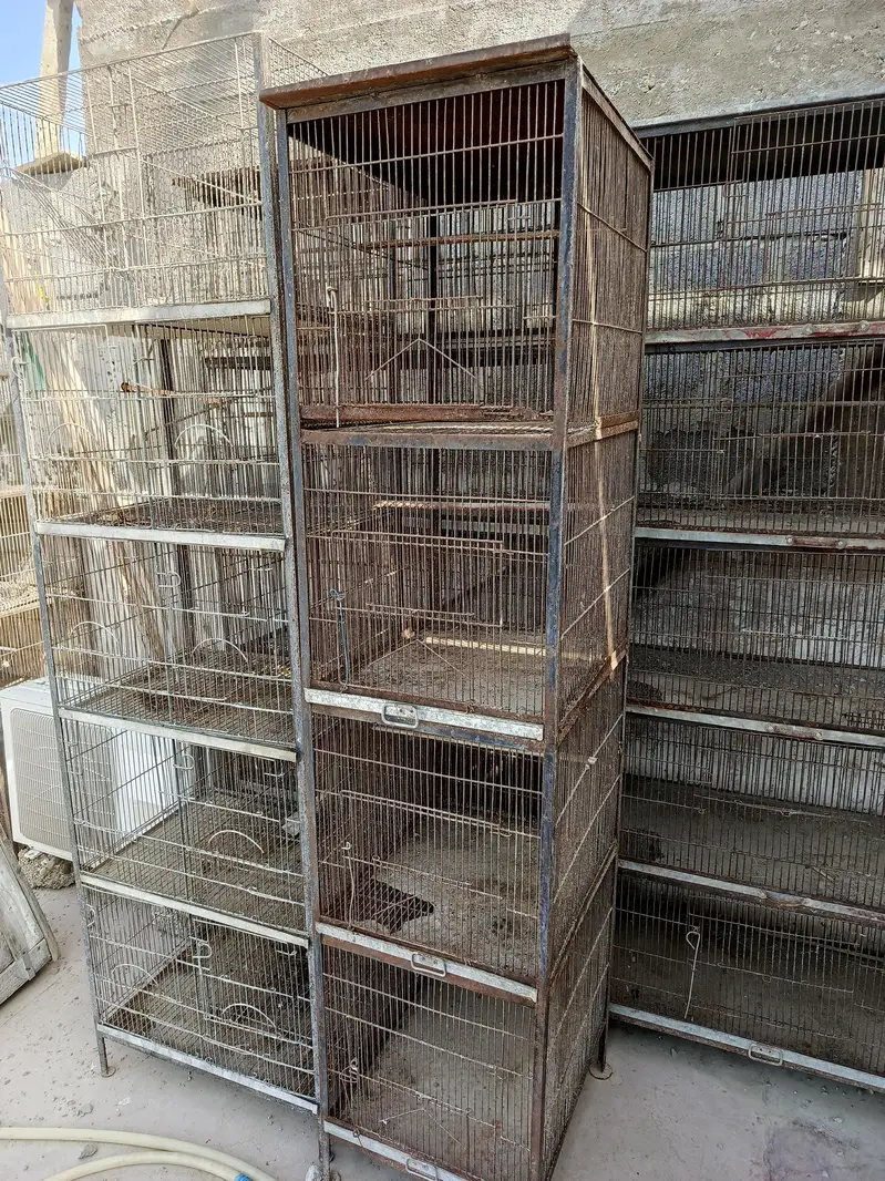 demand 75000     total 6 cages — photo 4