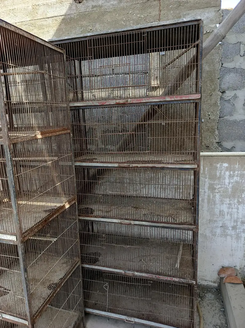demand 75000     total 6 cages — photo 5