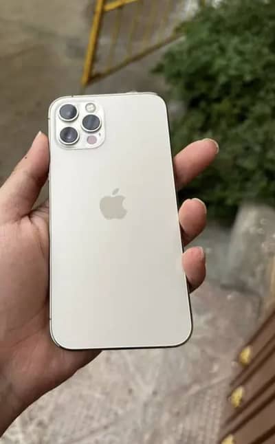 Iphone 12 pro pta approved