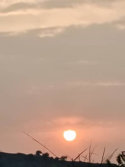 Delivery boy required