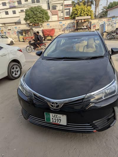 Corolla XLI 2019