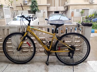 Precision - Hybrid Bicycle