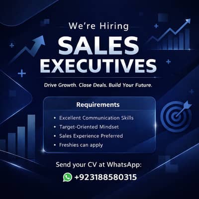 Hiring sales executives (chat based)
