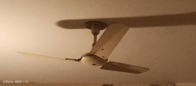 Asia Ceiling fans 56in