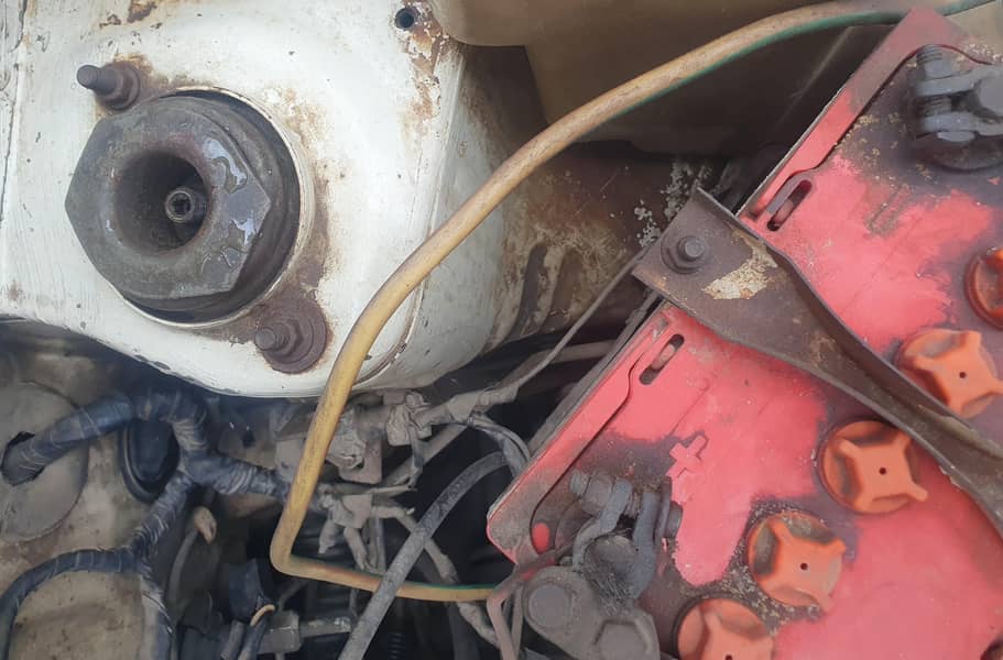 Coure Almost jenuin condition 10