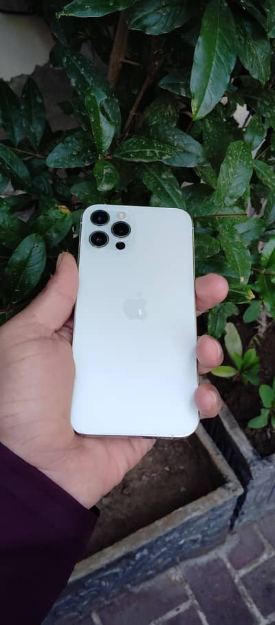 i phone 12 pro  [256gb]