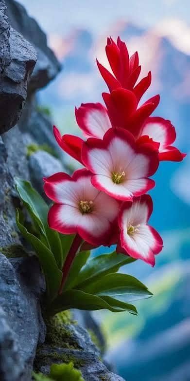 17 age mujy security guard job ki zarorat hai Islamabad Mai