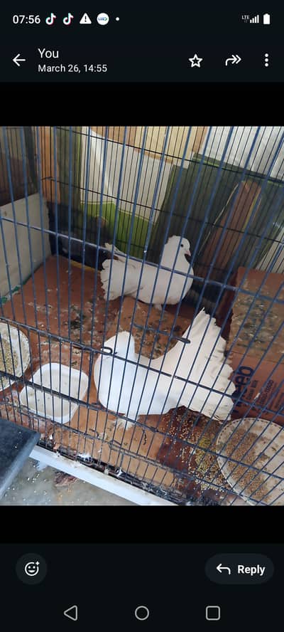 Lukay region 0332481121