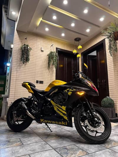 kawasaki ninja heavy bike