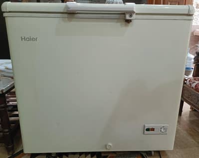 single door Deep Freezer.