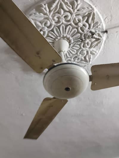 Used ceiling fan for sale – working condition