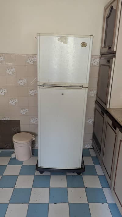 LG Refrigerator/ Fridge