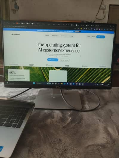 Dell LCD IPS panel Monitor display