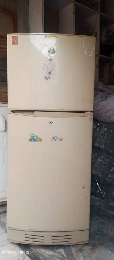 pel company medium size  03226035630