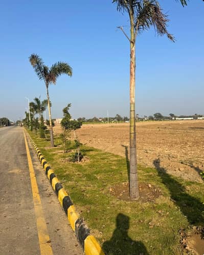 Lahore Organic Farms Society Located on Main Barki Road, Lahore.