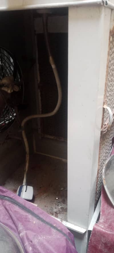 DC color kaabli motor paad wla