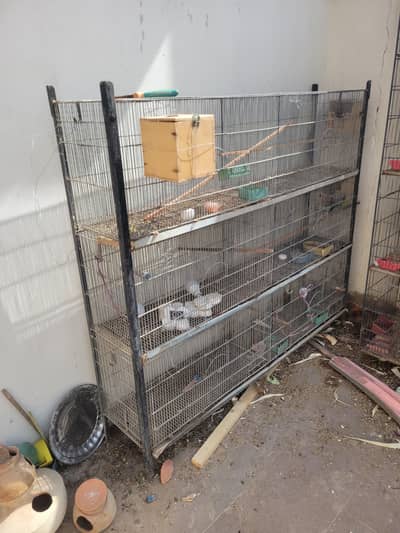 10 portion cage for sell